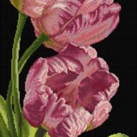 Lalele stanga- kit complet