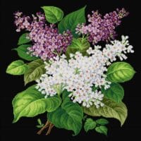 Buchet de liliac - kit complet