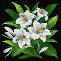 Buchet de crini-kit broderie de mână