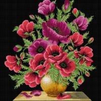 Dor de vară - kit complet