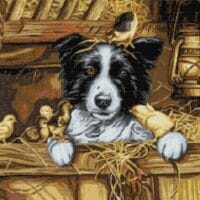 Protector - kit broderie de mână