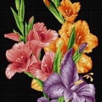 Gladiole/dreapta - kit complet