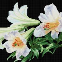 Lilies - kit