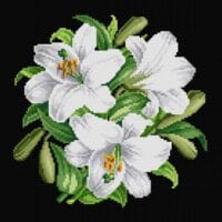 Bulgăre de crini - Kit complet