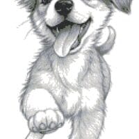 Bucurie - kit broderie de mână